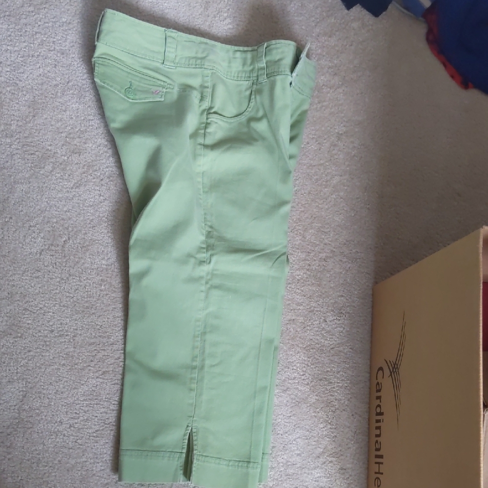 Green Apple Cropped Pants